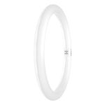 Osram LED Röhre T9 Rund (EM/Mains) 18.3W 2200lm - 865 Tageslichtweiß | Ersatz Für 32W